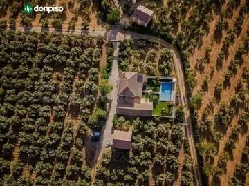 Finca en el término "Los LLanos " en Moraleda de Zafayona a 20 minutos de Granada Capital — 4