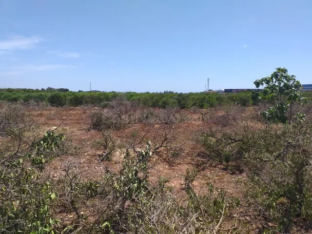 TERRENO ECONÓMICO RUSTICO A LA VENTA EN MONCADA.ZONA POLIGON - foto 4