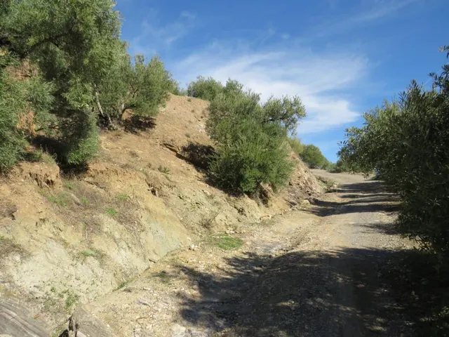 SUELO RÚSTICO NO URBANIZABLE - ZAHARA DE LA SIERRA (CÁDIZ) — 12