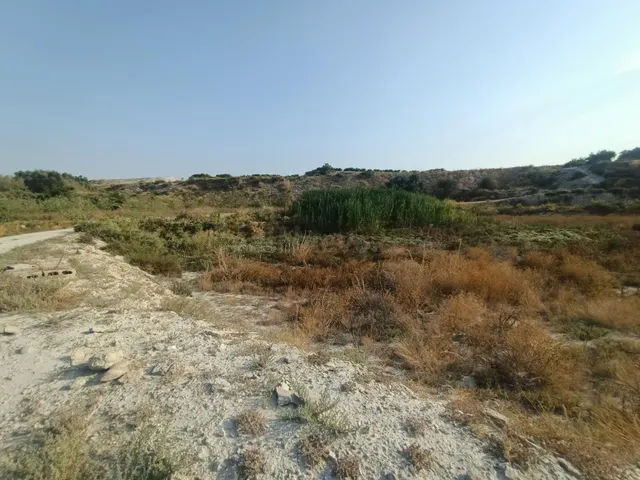 SE VENDE PARCELA RÚSTICA EN ALGUAZAS - foto 4