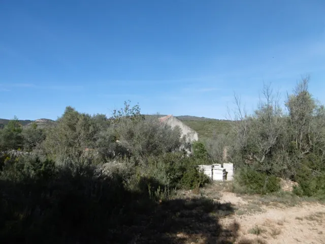 MASIA PARA REFORMAR  CON ALMACENES EN UNA FINCA DE 10 HECTÁREAS — 18