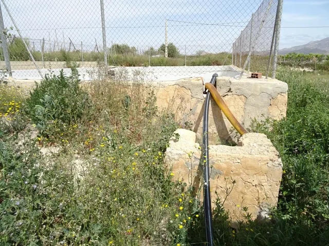 ESPLENDIDA FINCA RUSTICA CON CASA PARA CULTIVAR EN ASPE EN V - foto 4