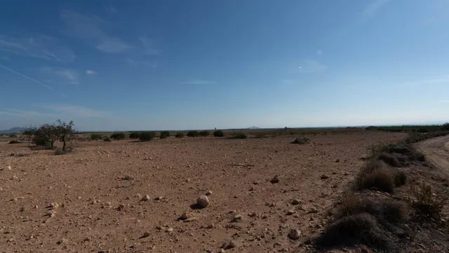 Se Vende Parcela de 30,000 m2 en Corvera — 4