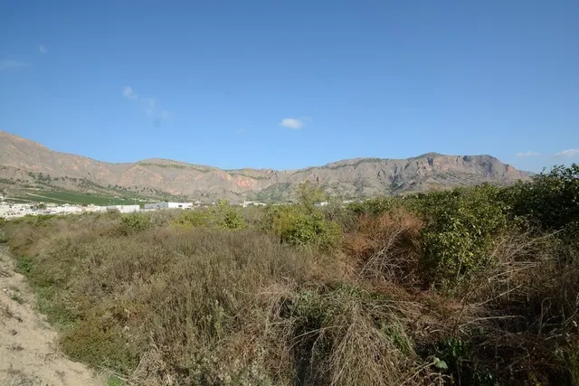 ¡¡ GRAN OPORTUNIDAD !! Parcela rústica de 5600 m2. de superf - foto 5