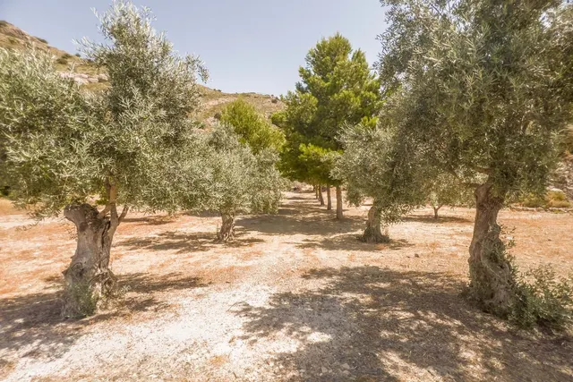 Parcela en venta - South of spain — 12