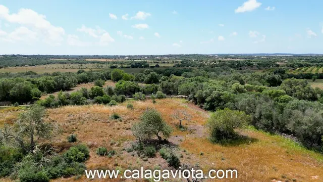 Terreno rústico en venta en Ses Salines - foto 4