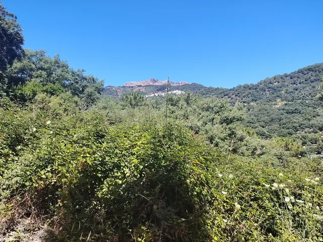 Casa de campo-Masía en Venta en Algatocin Málaga — 13