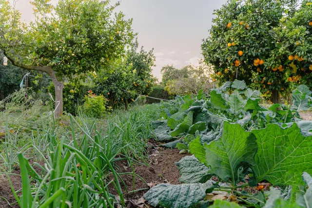 Finca Rural — 19