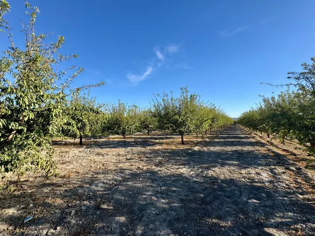 TERRENO RÚSTICO EN VENTA EN CHAUCHINA – 3.146 m2 CON POZO Y construcciones — 10