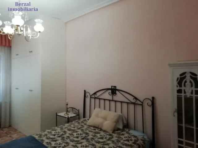 PISO AMPLIO EN LAS PEATONALES — 19