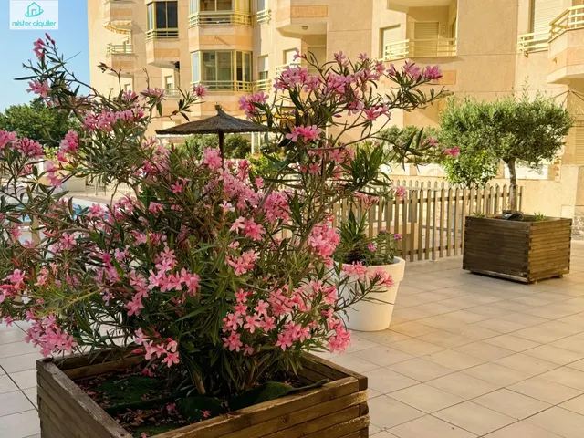 CONFORT Y TRANQUILIDAD JUNTO AL MAR EN EL CAMPELLO: APARTAMENTO PERFECTO PARA ESTANCIAS PROLONGADAS — 31
