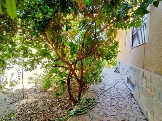 SE VENDE EXCELENTE CHALET EN LA HUERTA DE ARRIBA DE ALGUAZAS - foto 4