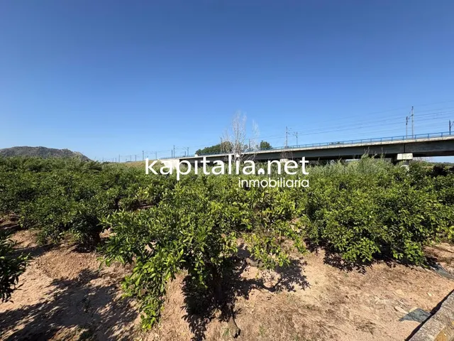 FINCA DE NARANJOS A LA VENTA EN XATIVA - foto 2