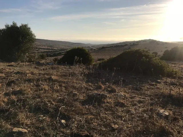 Se vende parcela en Bolonia — 7
