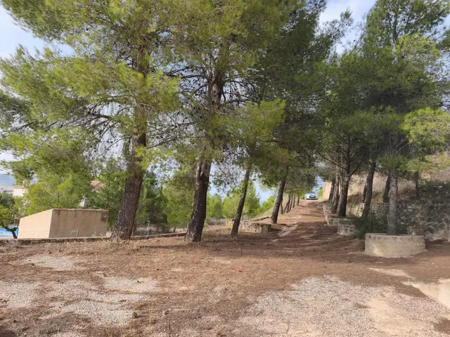 Terreno Rural en Almansa - San José a un Precio Inmejorable - foto 2