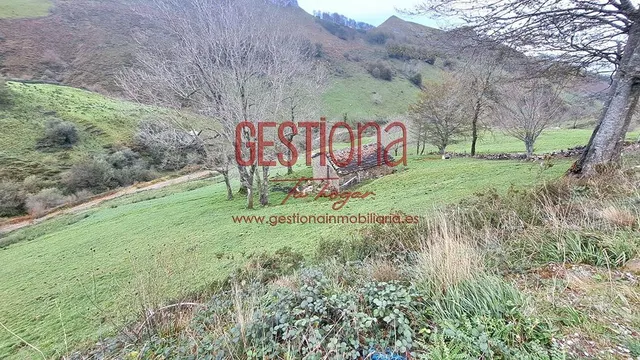 CABAÑA EN SOBA. VALDICION — 31