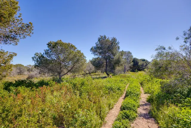 Casa 1 habitación 55m² en venta - La Siesta - El Salado - Torreta — 37