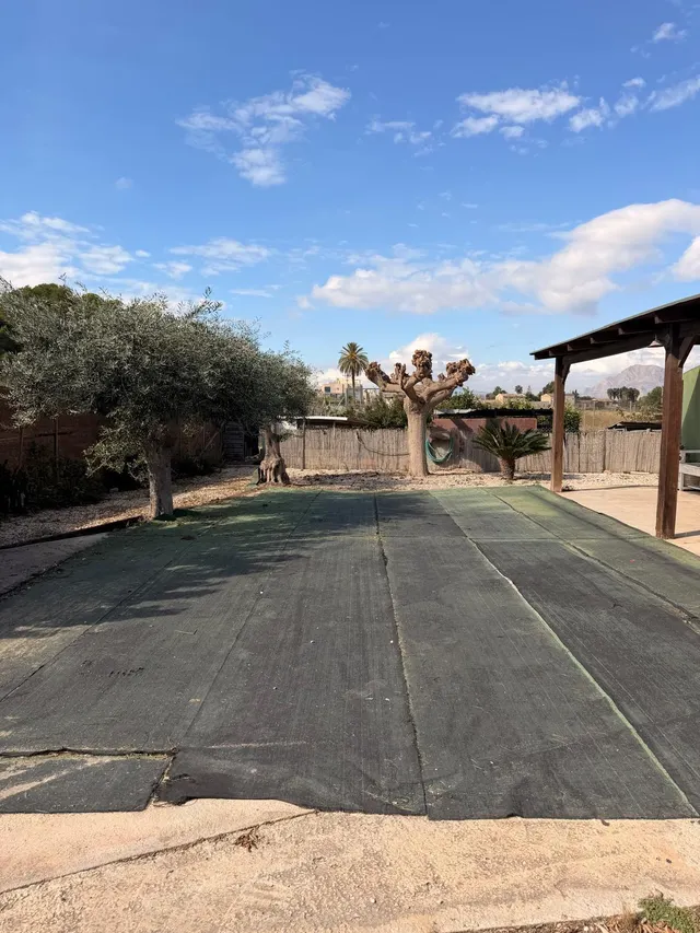 Casa de madera sobre parcela de 360 m2 con arboles frutales - zona las bóvedas, Almoradí - — 9