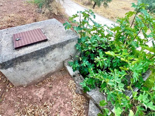 NIVAR - FINCA DE OLIVOS — 24