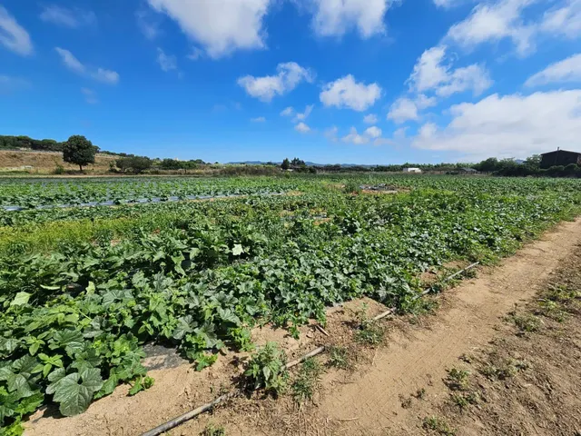 Terreno agricola en venta en Malgrat de Mar — 26