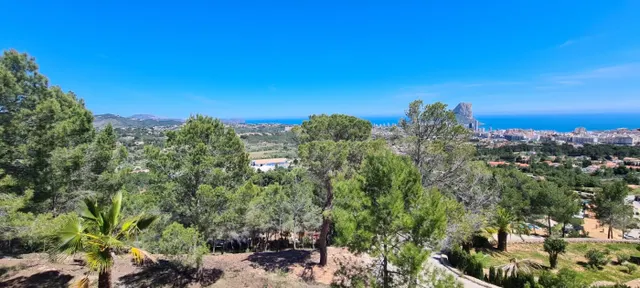 Parcela en venta - Oltamar - foto 3
