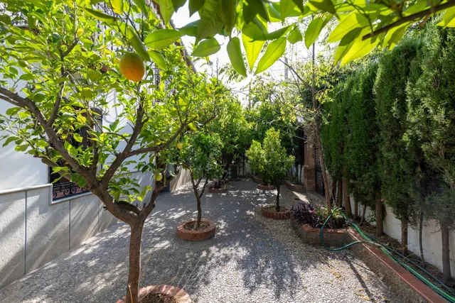 EXCLUSIVA FINCA CON 30.000 m2 DE SUELO URBANIZABLE EN OGÍJARES (GRANADA) – VIVIENDA, PISCINA Y GRAN POTENCIAL DE INVERSIÓN — 23