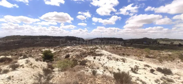 Terreno Urbanizable sectorizado en Baños y Mendigo. Murcia - foto 5