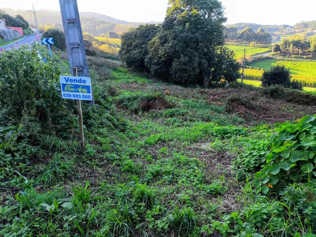 Tres fincas urbanas en Lagoa (Chamín-Barrañán) - foto 3
