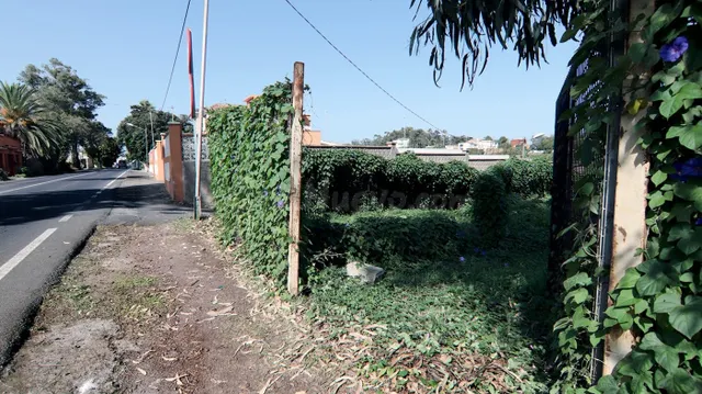 PROYECTA LA CASA DE TU SUEÑOS EN LA CARRETERA DEL CAMPO DE G - foto 4