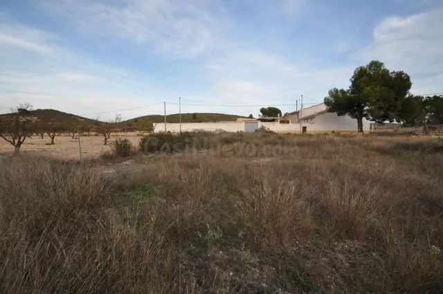 Parcela en venta - Abanilla - foto 2