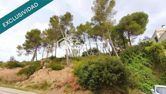 TERRENO GRANDE APTO PARA CONSTRUIR 2 VIVIENDAS EN ST BARTOME - foto 5