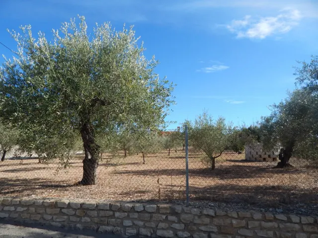 Terreno urbanizable en Ontinyent — 5