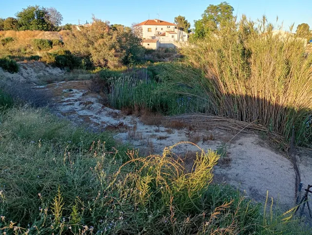 Terreno en la Algaida Archena — 30