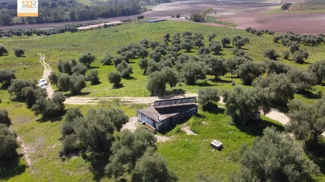 Finca de 22 Hectáreas con Proyecto Aprobado para Hacer Casas - foto 4