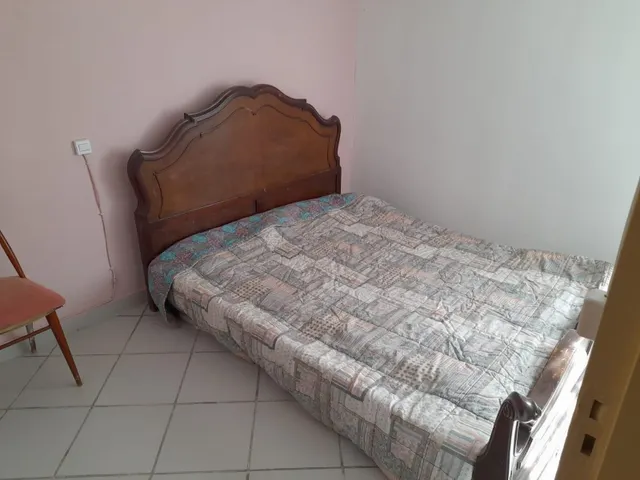 OPORTUNIDAD FINCA RUSTICA DE REGADIO CON CASA DE CAMPO EQUIPADA EN ASCO — 18