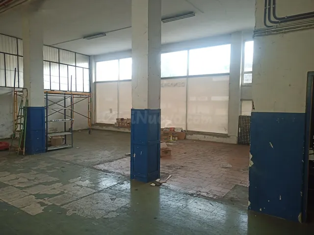 Nave industrial 720m² en venta - Pinar - Anaka - Belaskoenea - foto 4