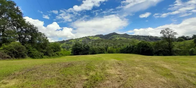 Se terreno rústico con posibilidad de construir en Cereceda  - foto 4