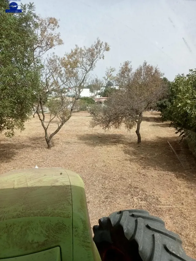 CASA DE CAMPO PARA REFORMAR - foto 5