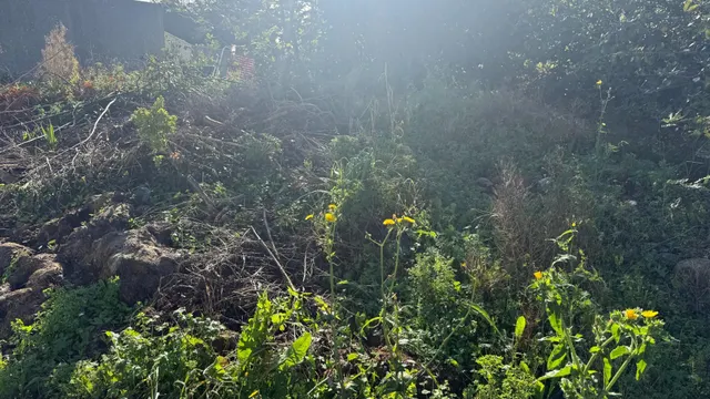 Terreno urbano en venta - Rinconeda — 6