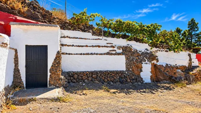 Finca exclusiva en Vilaflor · 2 viviendas, viñedo, bodega y piscina — 72