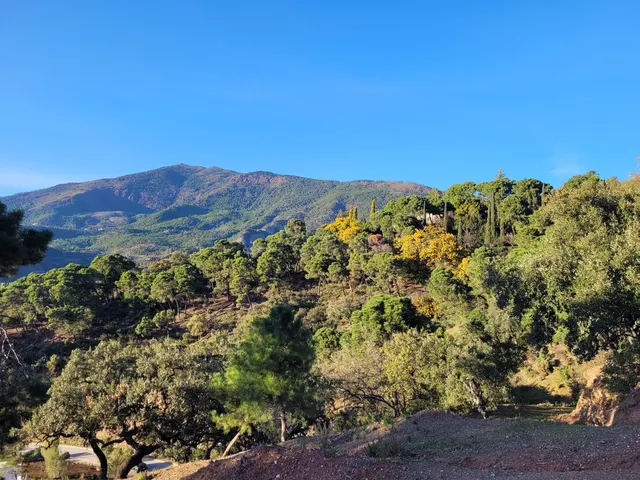 Parcela en venta - Costa del Sol - foto 3