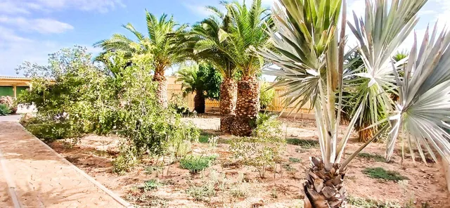 SE VENDE CHALTE DE 5 DORMI, 3 BAÑOS, PISCINA , PARCELA 2300 MST, 250 MST2, CASA, BARABACOA, AMUEBLADO EN VALLE DEL SOL MURCIA — 11