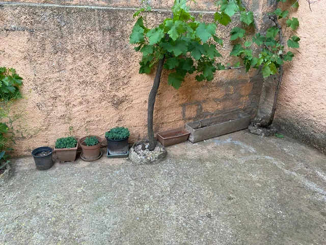 OPORTUNIDAD EN LECHAGO (CALAMOCHA) — 14