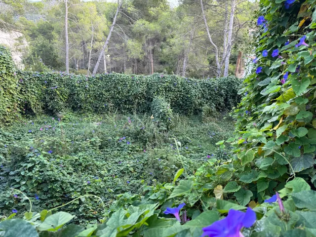 Amplia casa con piscina cubierta en Olivella – Zona Can Surià — 11