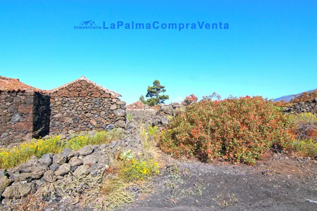 Suelo rústico en Venta en Paso, El Santa Cruz de Tenerife - foto 2