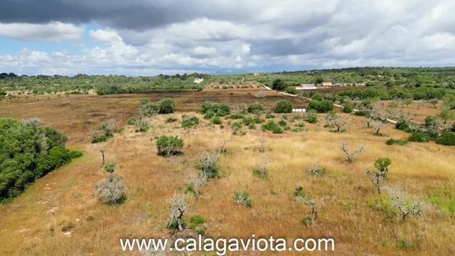 Terreno rústico en venta en Ses Salines - foto 2