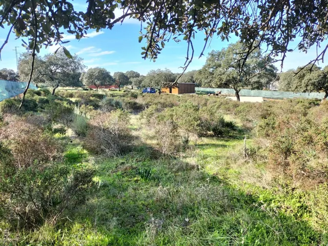 PARCELA EN URBANIZACIÓN SIERRA NORTE, CASTIBLANCO DE LOS ARR