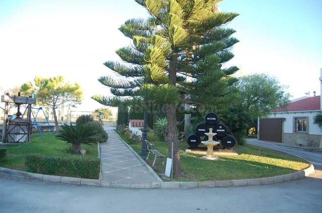 FINCA DE VIÑEDOS