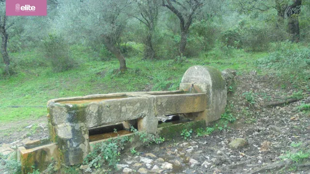 MAGNIFICA DEHESA PROXIMA A JEREZ DE LA FRONTERA — 5
