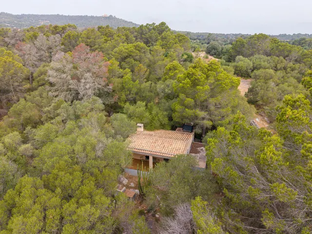 Encanto rústico en plena naturaleza, a solo 5 minutos de Es Cruce – Petra, Mallorca — 6